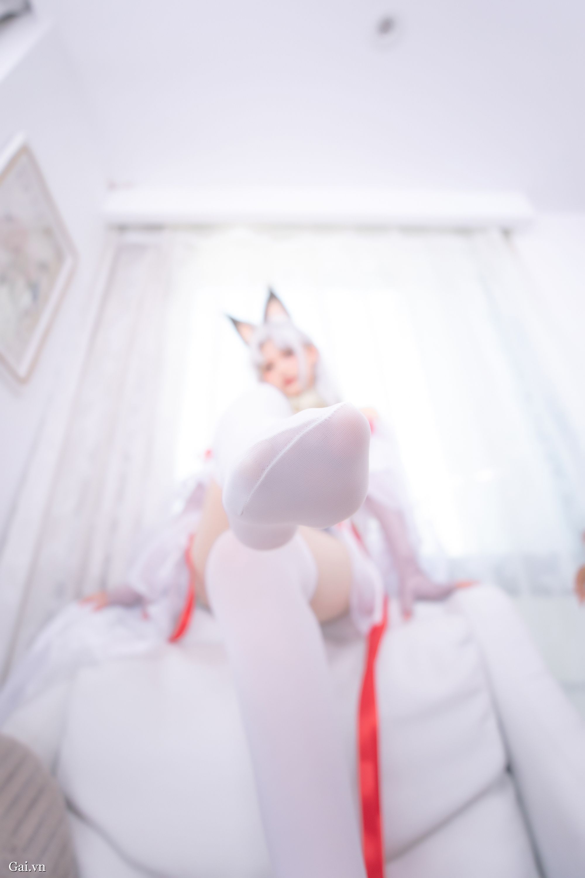 华体会体育项目资讯讲解